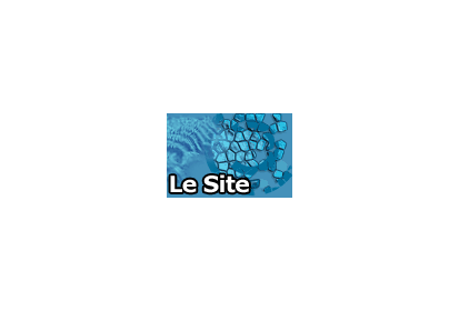 Les pierres comme image de la connaissance